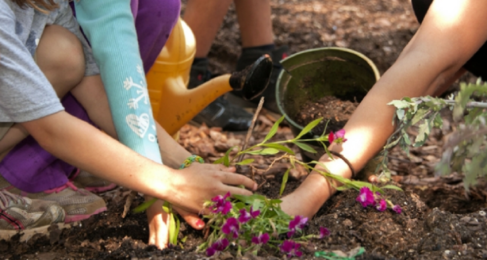 8 Forestazione urbana